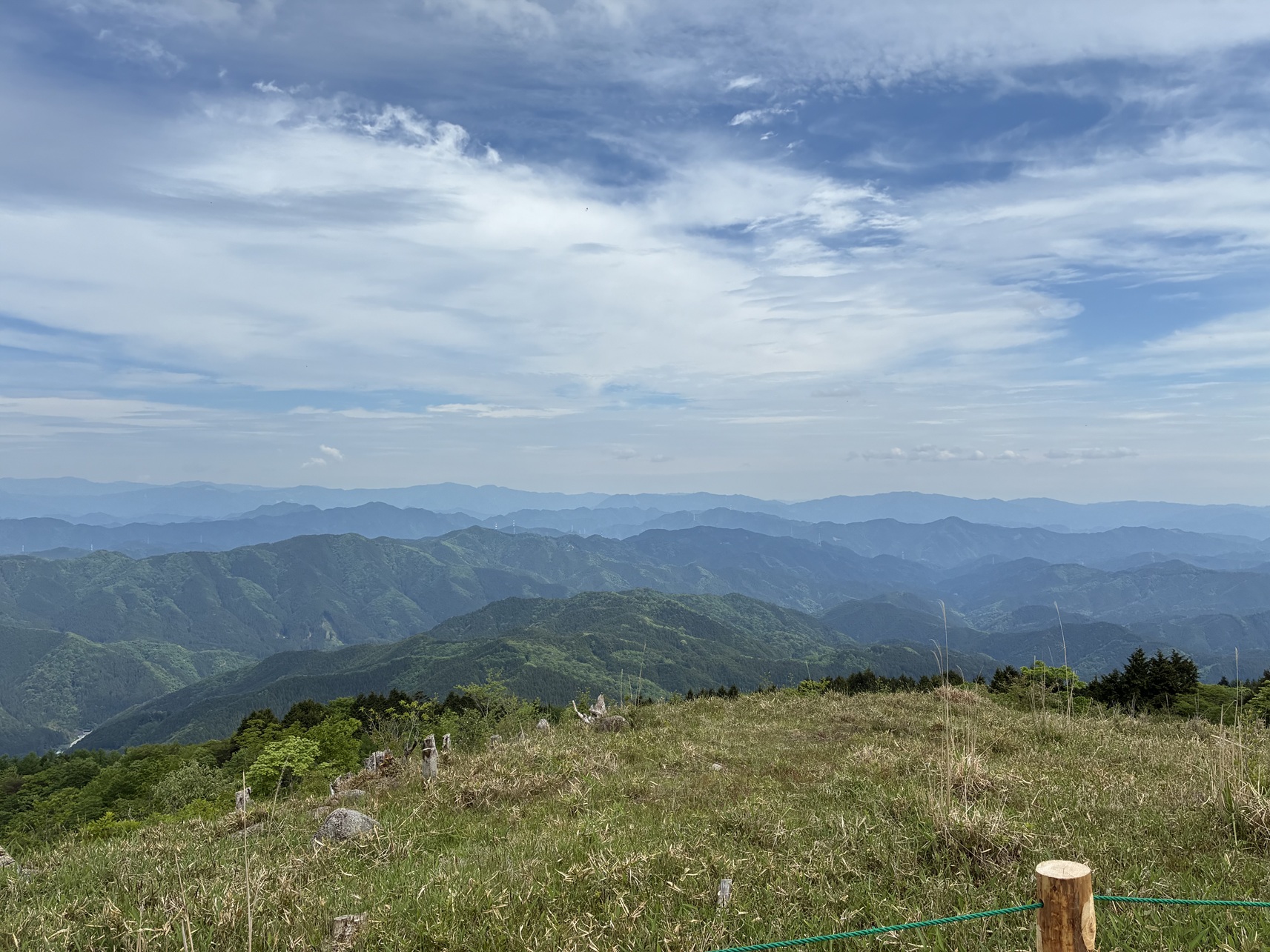 茶臼山高原の芝桜